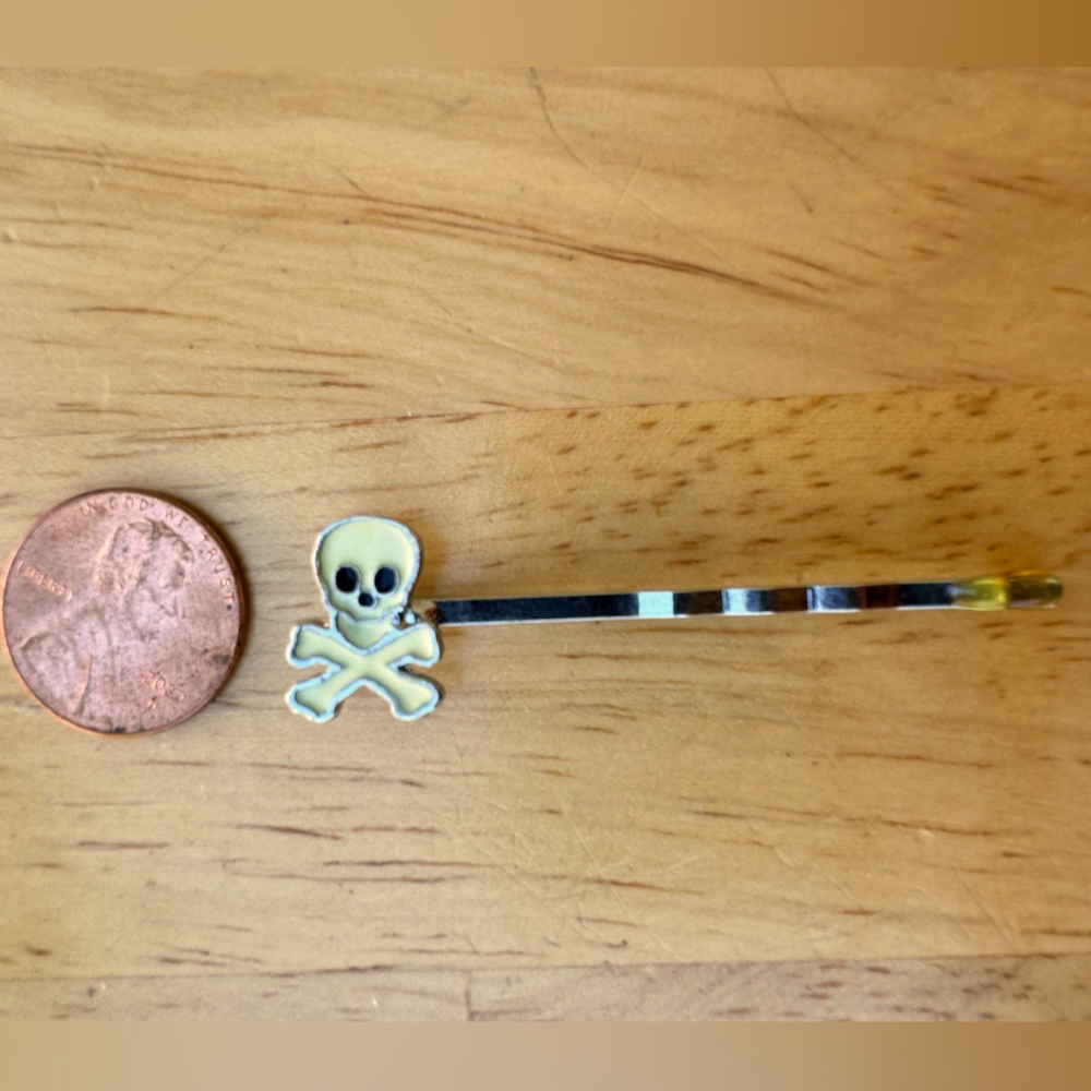 Skull & Crossbones ☠️ Hair Pin